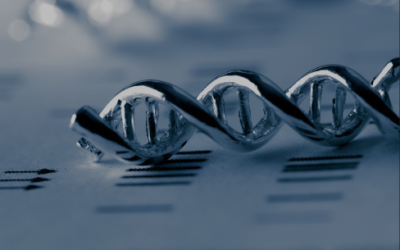 DNA Testing and Parentage Lawyers in Edmonton: A Comprehensive Overview with Ulasi Law Group, Your Trusted Family Lawyers in Edmonton