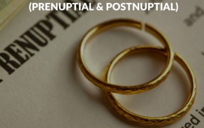 Cohabitation Agreements (Prenuptial and Postnuptial) Lawyers in Edmonton: A Comprehensive Guide by Ulasi Law Group, Your Family Lawyers in Edmonton
